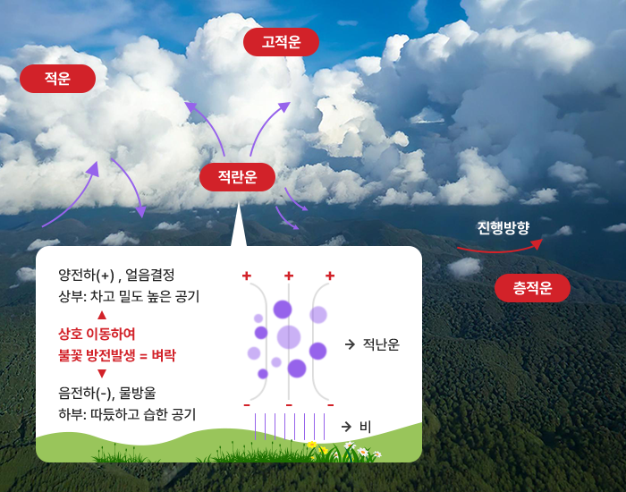 뇌운의 구조
